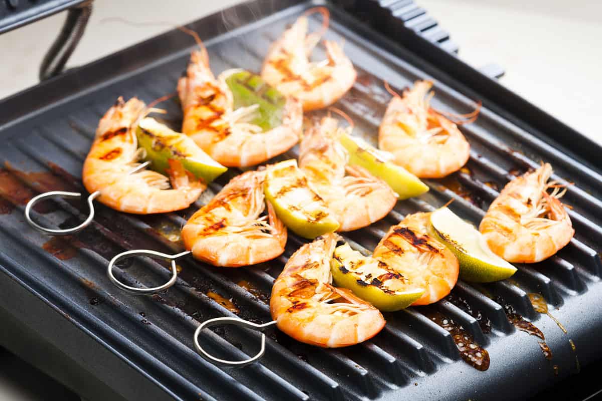 Best Electric Grills Reviews