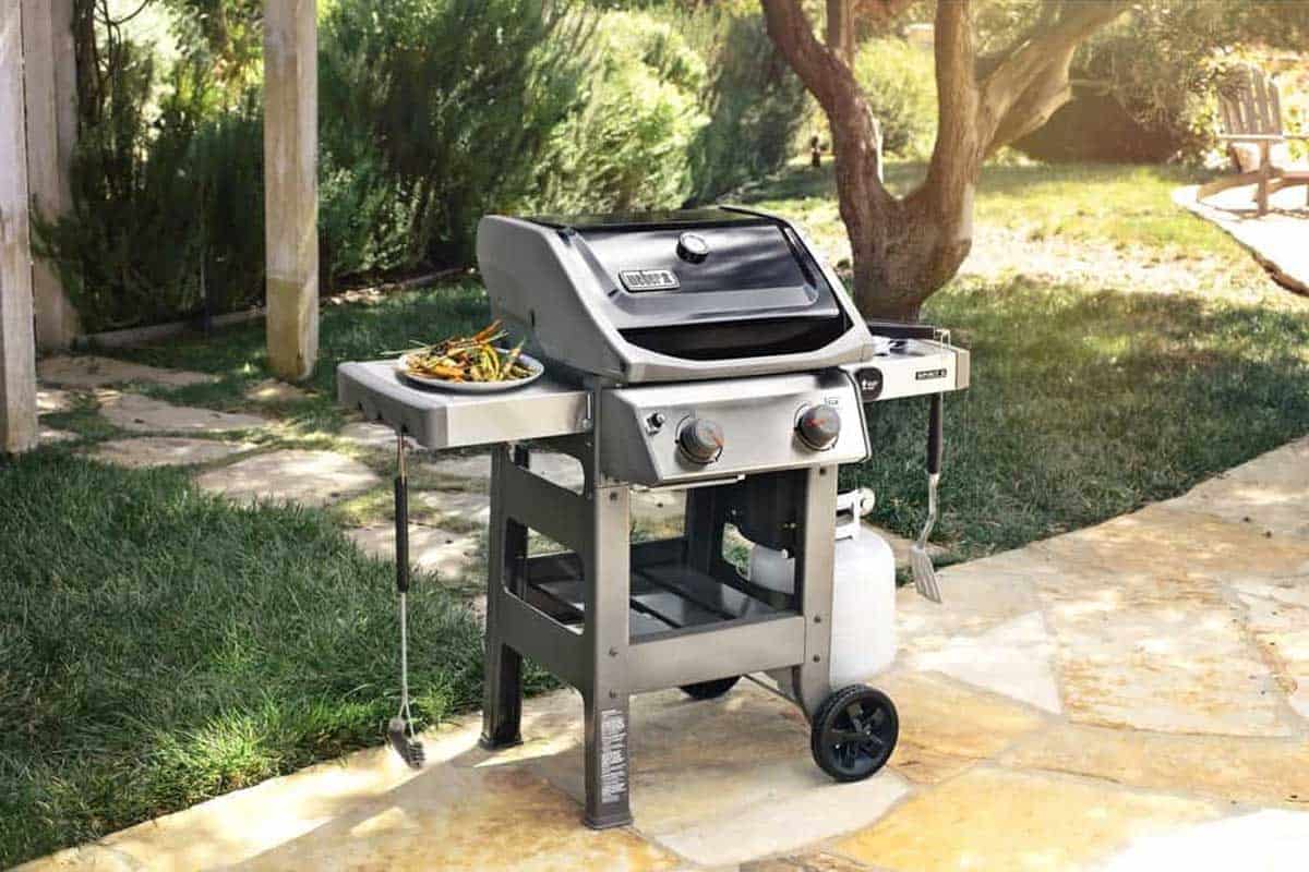 Weber Grill E210 Natural Gas Grill